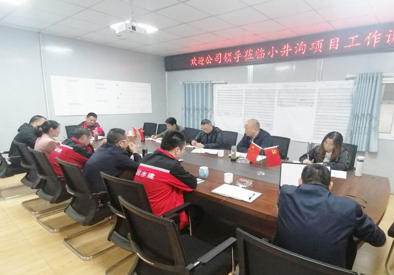 公司黨委書記、董事長代勇一行到小井溝支渠工程項目開展工作調研
